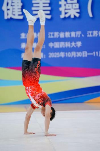 蜘蛛体育官方线路