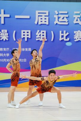 蜘蛛体育安全通道