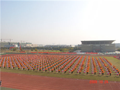 蜘蛛体育直播图片